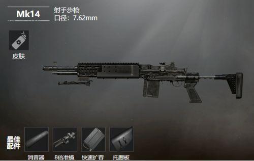 和平精英枪皮最新爆料,神秘皮肤即将亮相，视觉盛宴即将开启！